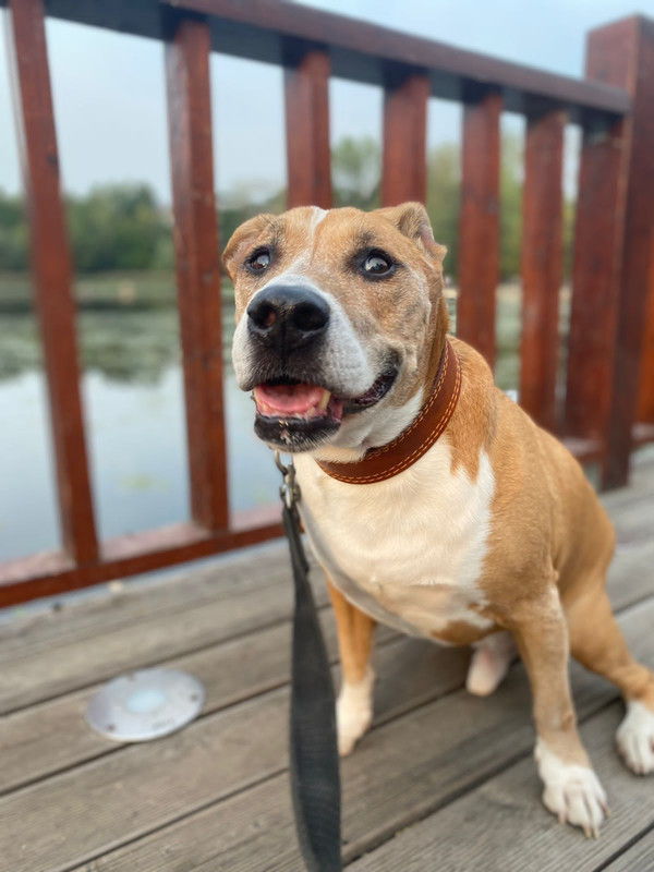 CD20931E-9F37-4135-8157-3A8D88FBEAFC