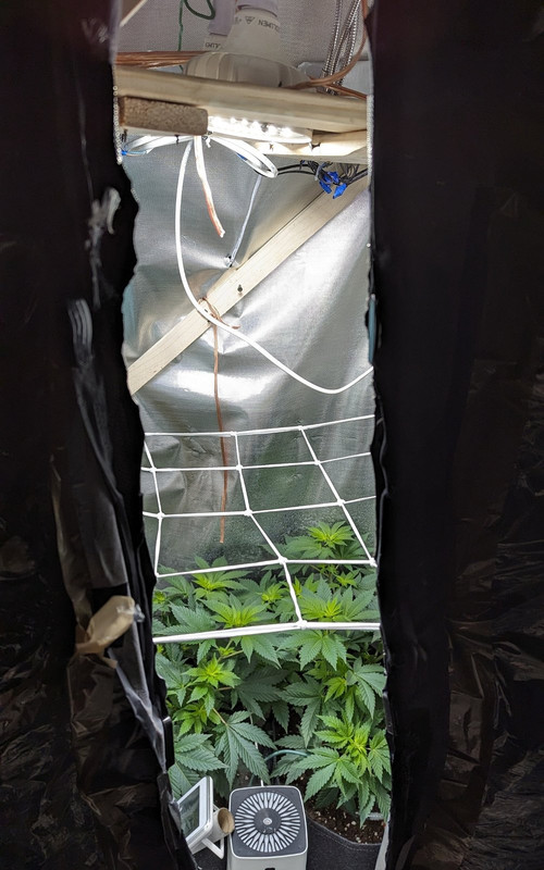 IMG_20240430_221719_(1200_x_1920_piksel)