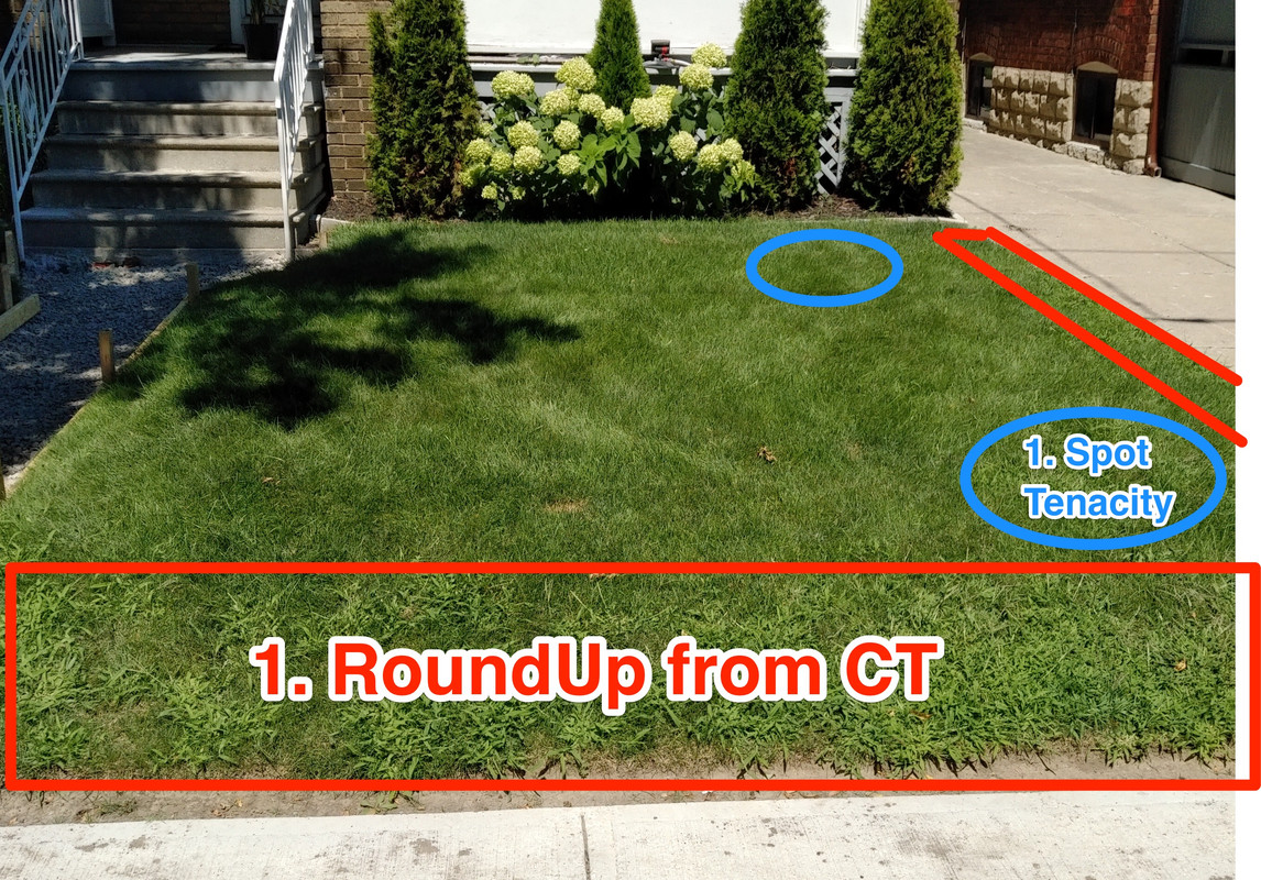 IMG_20180810_1309329 2