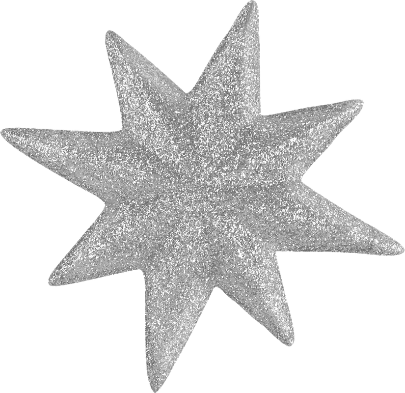 Christmasswishoffairydnstars