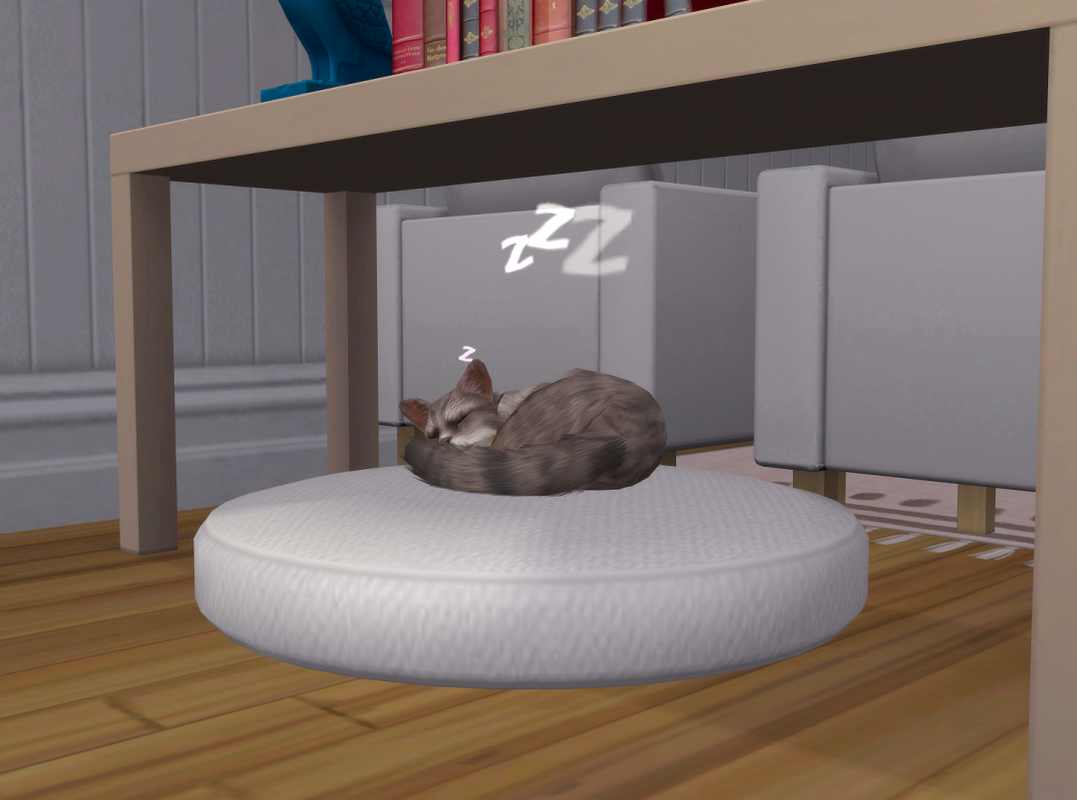 ksnip-20250810-185818