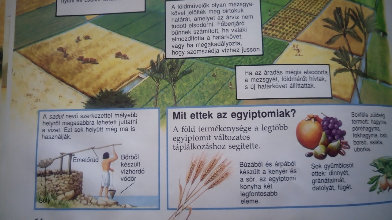 Kép