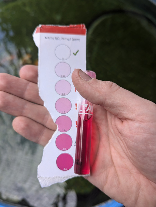 PXL_20240824_130009714.MP