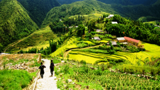 Thơ hoạ Nguyễn Thành Sáng & Tam Muội (2078) 0013875-tour-trekking-y-linh-ho-lao-chai-ta-van-1-ngay-khoi-hanh-ga-lao-cai