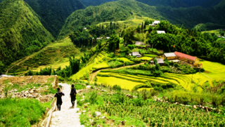  Thơ hoạ Nguyễn Thành Sáng & Tam Muội (2078) 0013875-tour-trekking-y-linh-ho-lao-chai-ta-van-1-ngay-khoi-hanh-ga-lao-cai