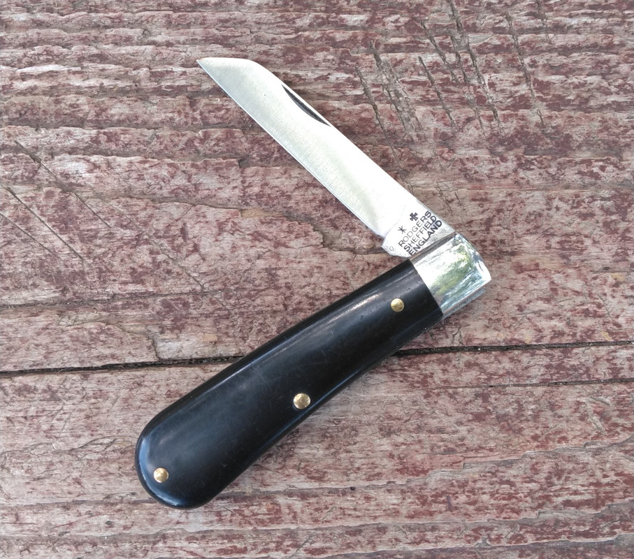 KIMG9822-2.jpg