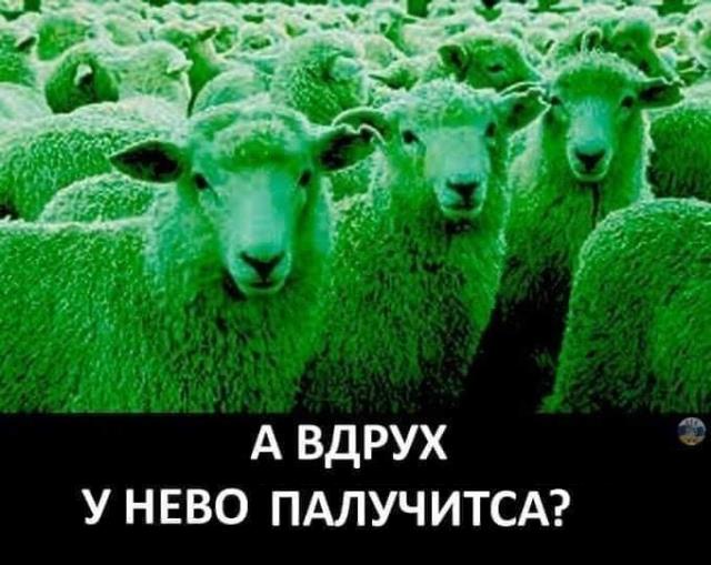 Малюська: Коломойський точно потрапить до реєстру олігархів - Цензор.НЕТ 5498