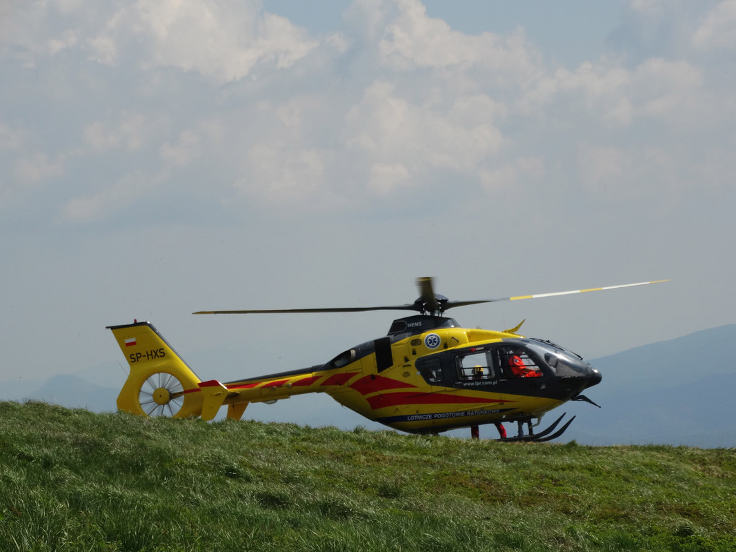 033 - DSC00876 (Ace79)