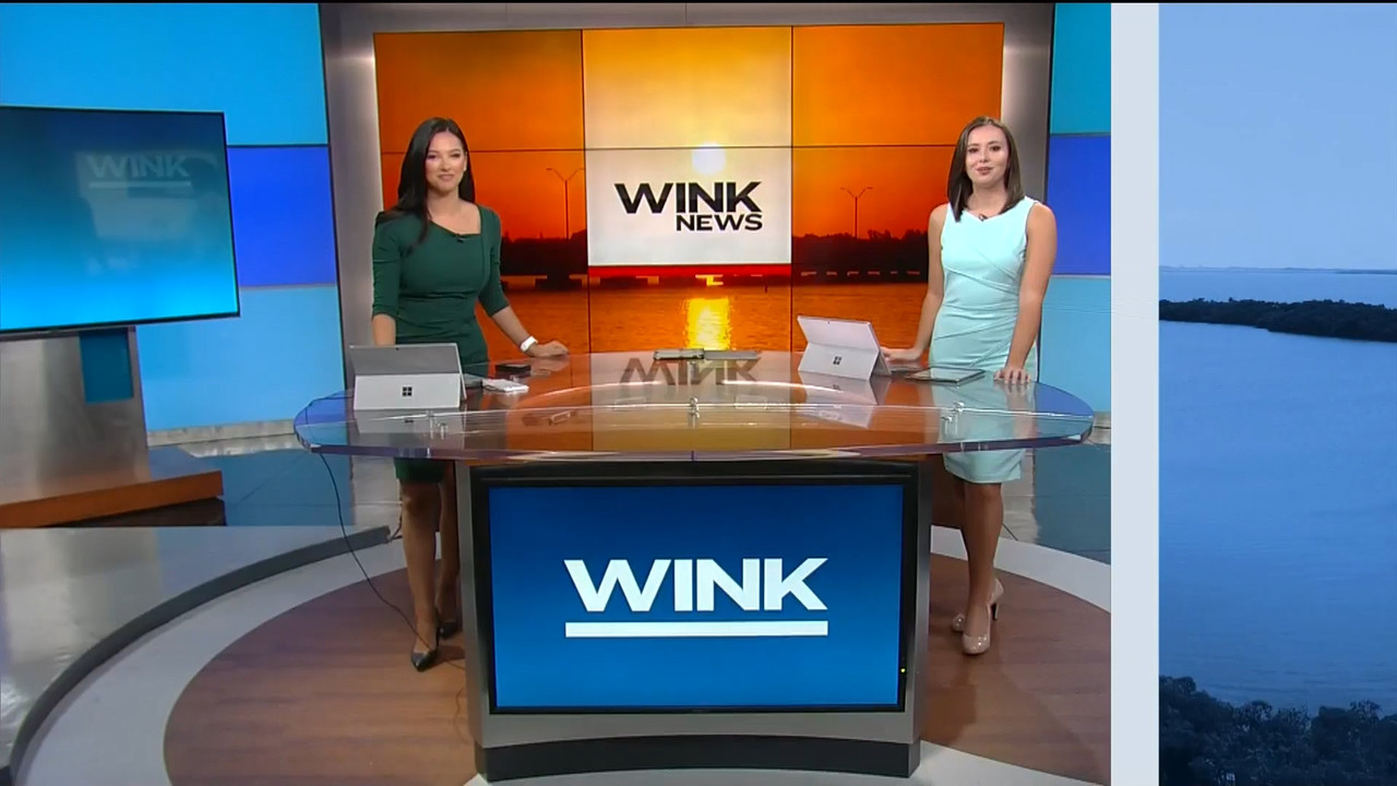 02.06 - 11.00.00 - WINK News @ 6 00am..ts_snapshot_36.37.529