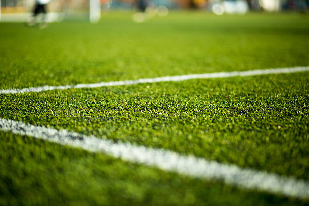 synthetic turf cost
