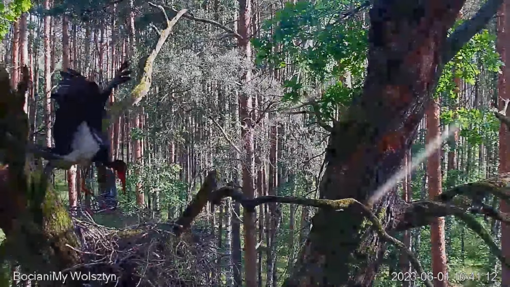 Zrzut ekranu (16510)