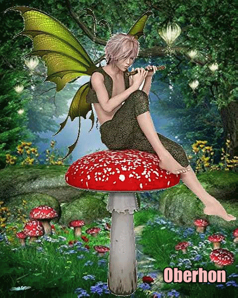 Immagine di Oberhon