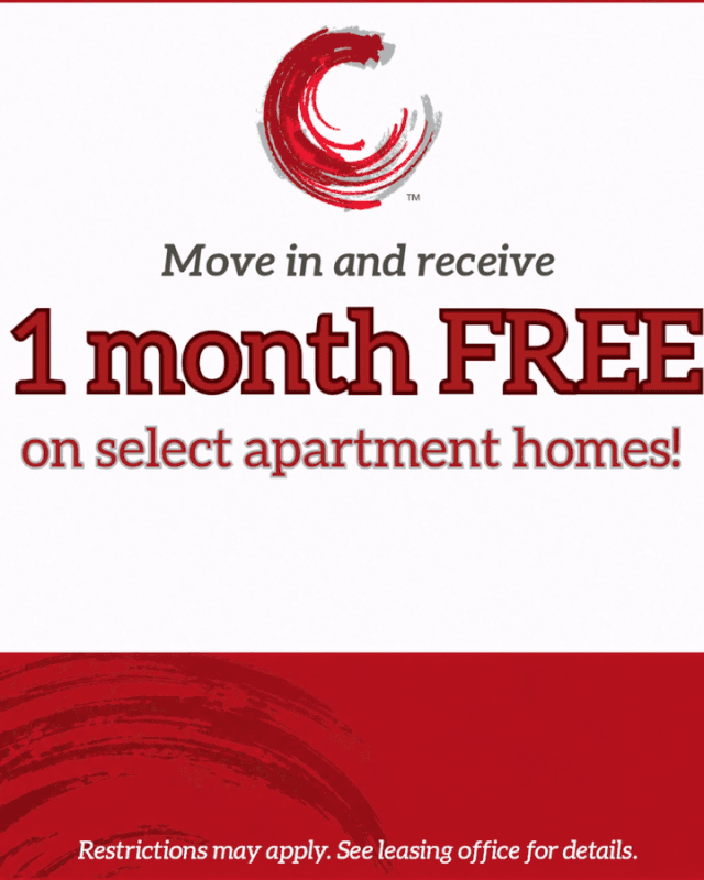 Apartment Special