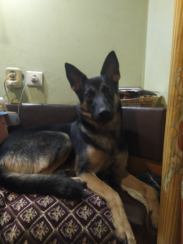 IMG-12fd00d7d716a558869208b5fbca0831-V