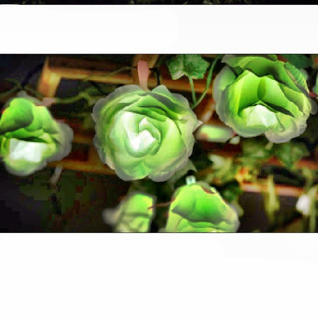 Solar String Light:80797-1