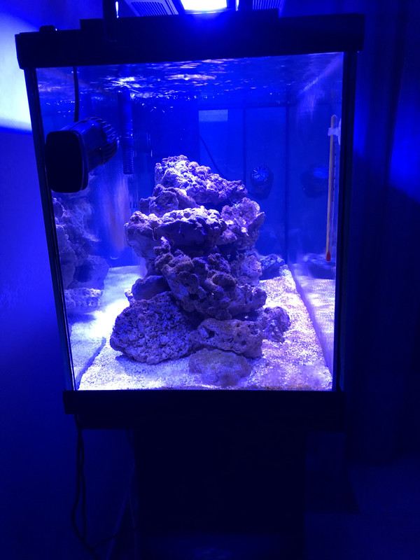 C45D783D-BF4B-49CD-9AC8-F3E2E2272885