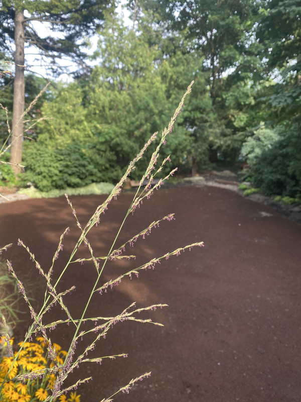 7D7A116D-DC39-4ADE-B365-30A7BA1F6B36