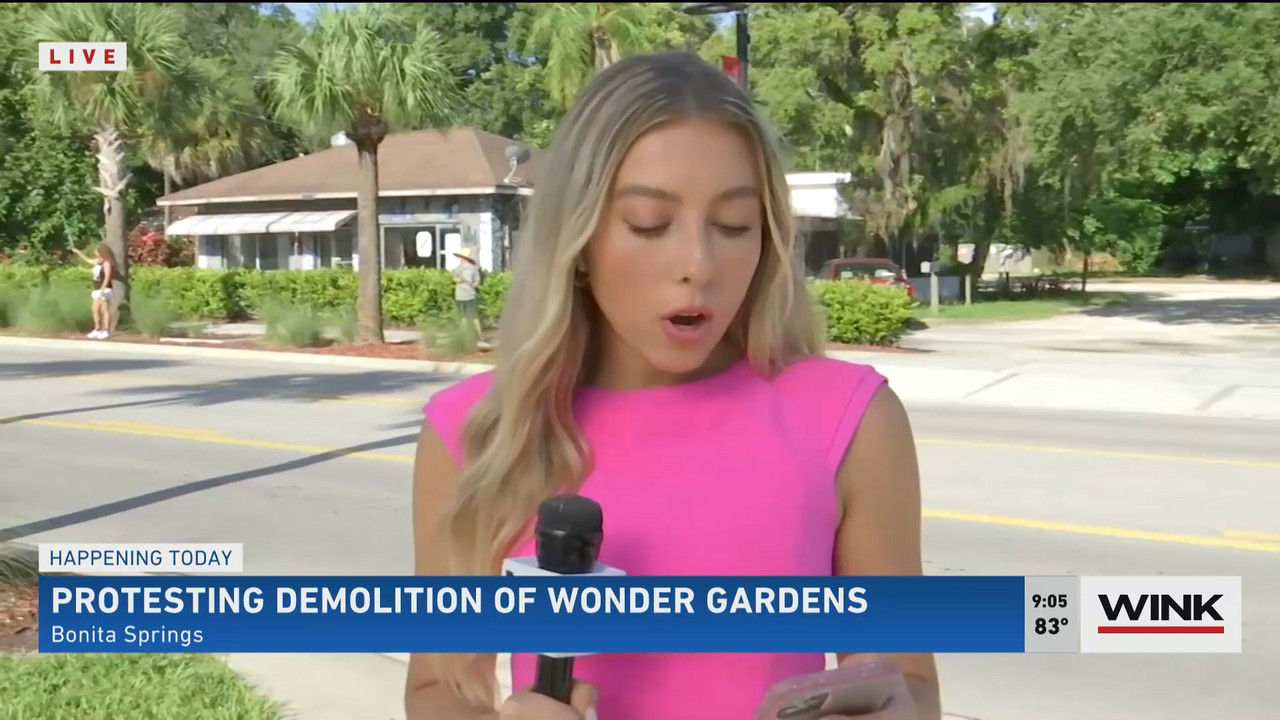 WINK News at 9 00 a.m. 2022_07_30_14_00_00.ts_snapshot_00.08.15.122