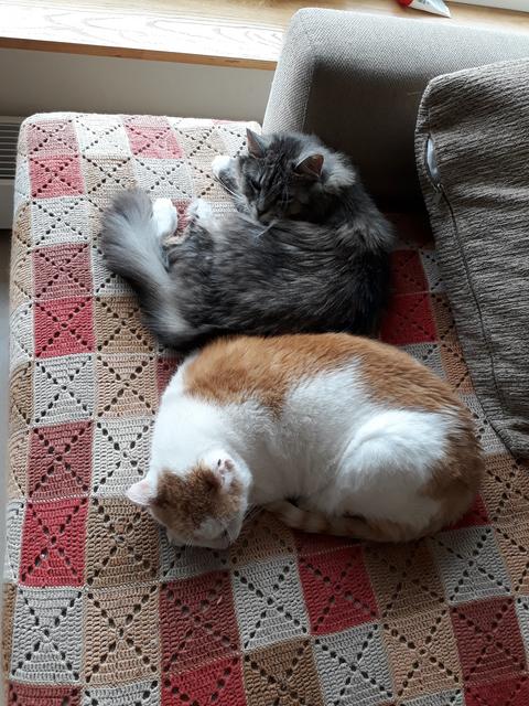 20190526-112729.jpg