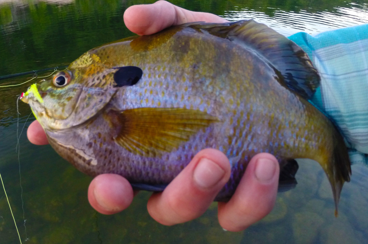 EADC3D03-E98F-4D24-B54C-C9EB8AD82495