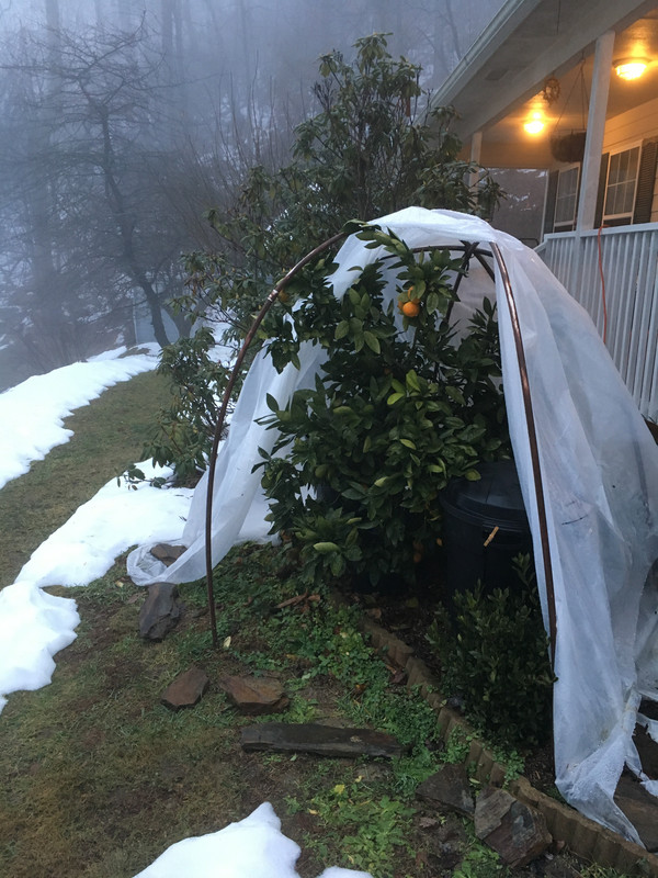 73974BDE-3726-4097-B1CC-A1E2DFE190BB