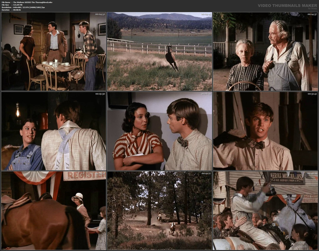 The Waltons S03E03 The Thoroughbred.mkv