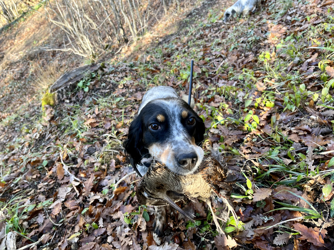 6D6DC33D-2C07-4DFD-8693-3D40B21BA64A