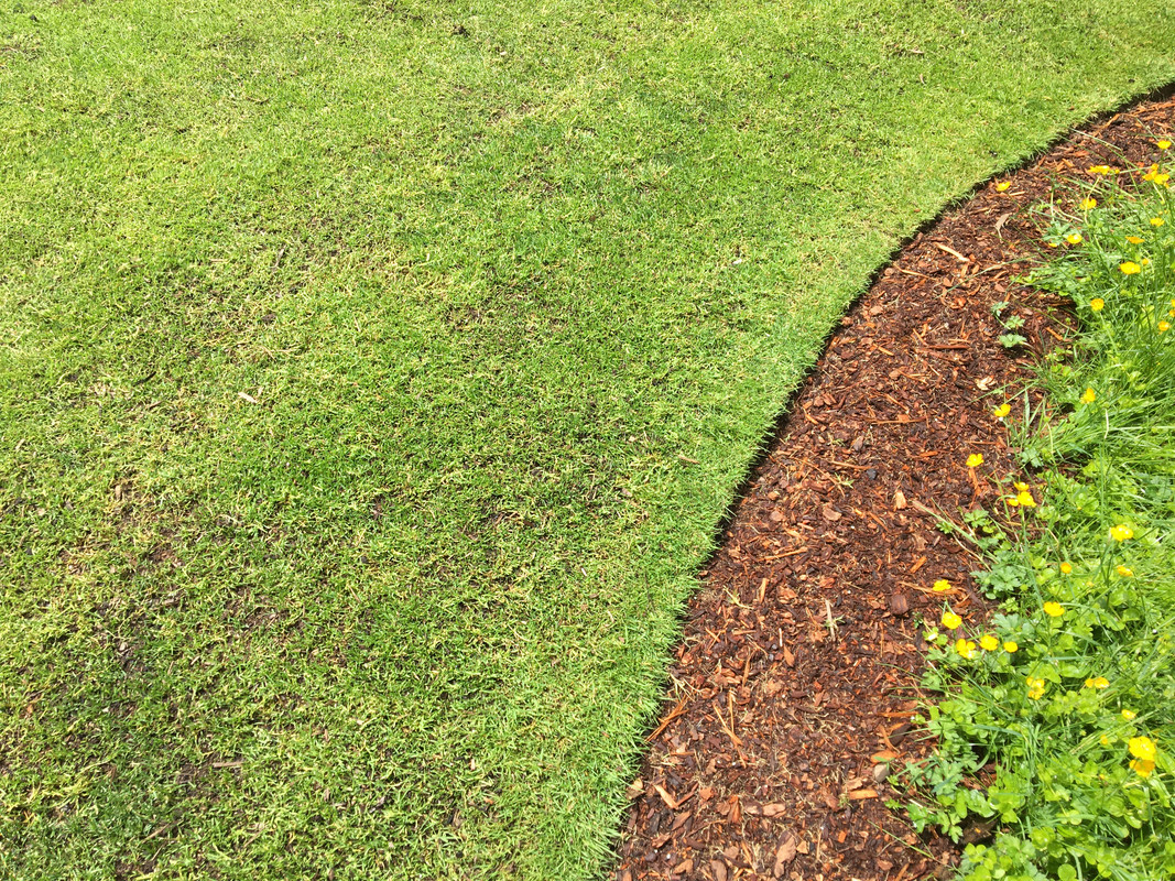 7881D49E-4F02-4B97-99FD-6A9C8DB3C74E