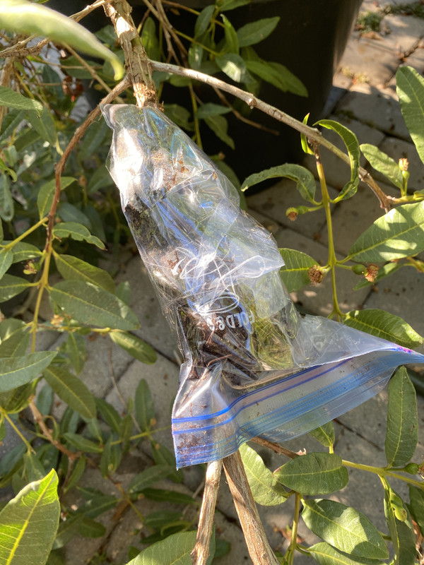 A0E281F6-F850-4C9D-8529-F49FE4E43A26