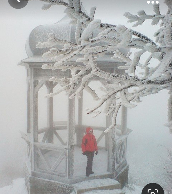 Screenshot_20231017_194518_Pinterest