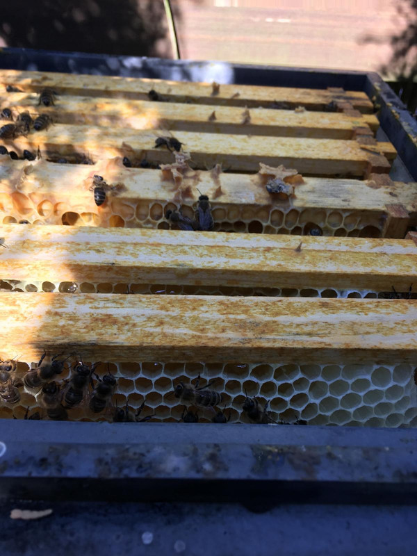 0E01A94D-D7DF-45B6-B30C-343DFA543F71