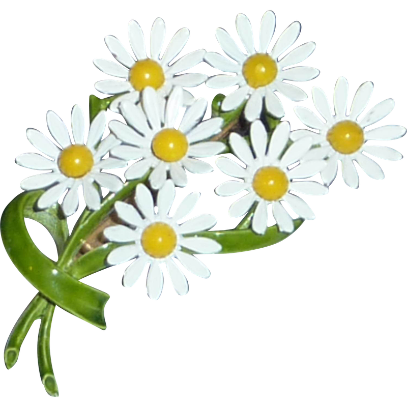 daisies-clipart-daisy-bouquet-7.png