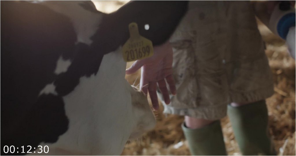 Cow-2021-2160p-WEBRip-3500-MB-DDP5-1-x264-Galaxy-RGTGx.jpg