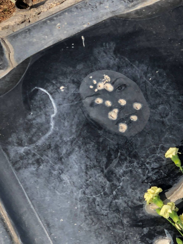 ۲۰۲۶۰۲۱۸ ۲۱۰۱۵۵