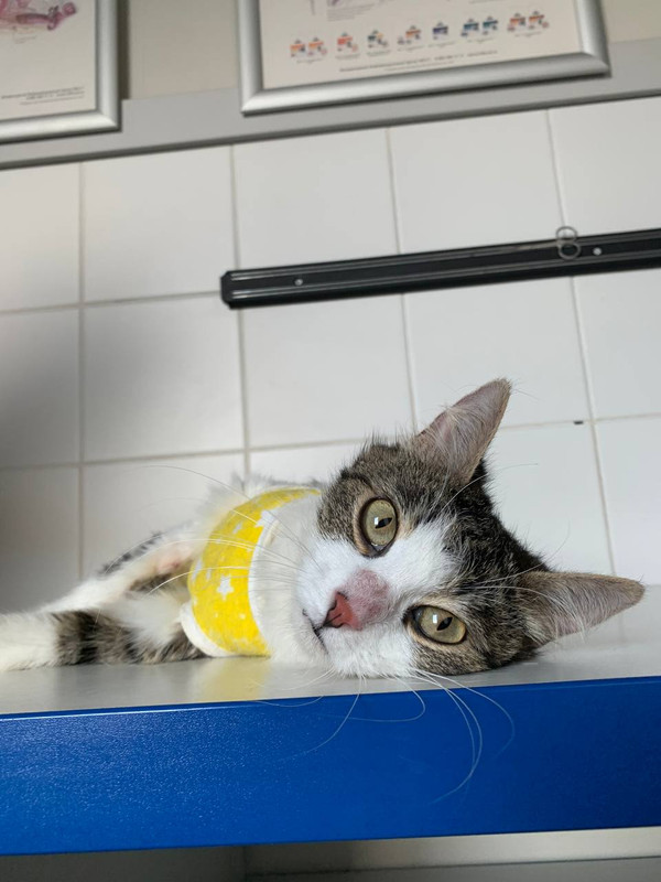 A66AB9E0-CD79-40E4-B040-55A8165AD271