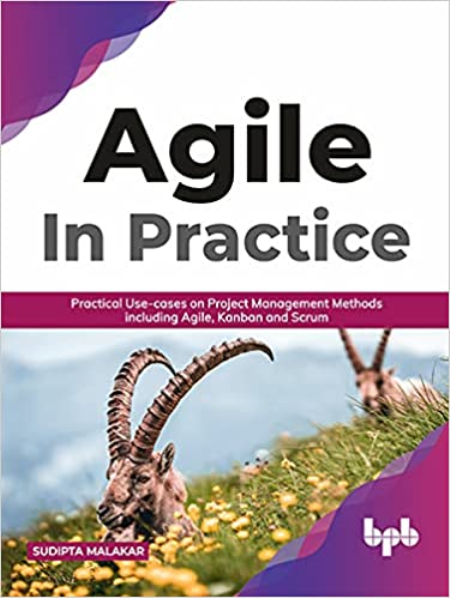 AGILE in Practice: Practical Use-cases on Project Management Methods including Agile, Kanban and Scrum (True EPUB)