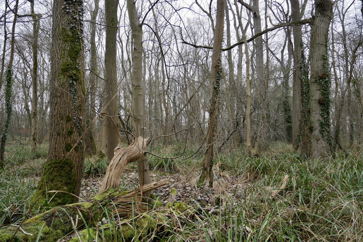 CD70EF8C-91A8-40C6-BA39-7297605193C4