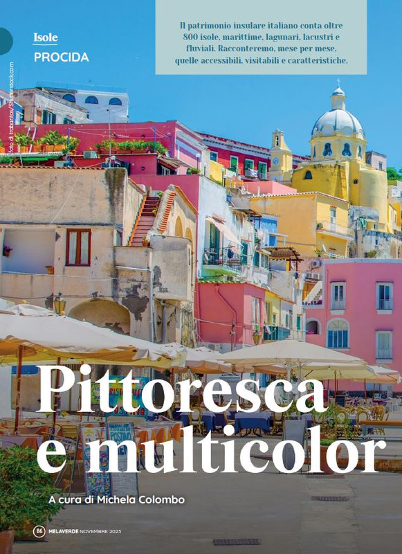 melaverde Nov 2023 (9)