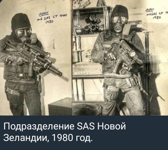 photo 2026 08 11 02 08 19