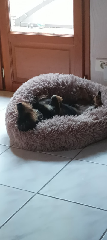 [Image: image000000-193.jpg]