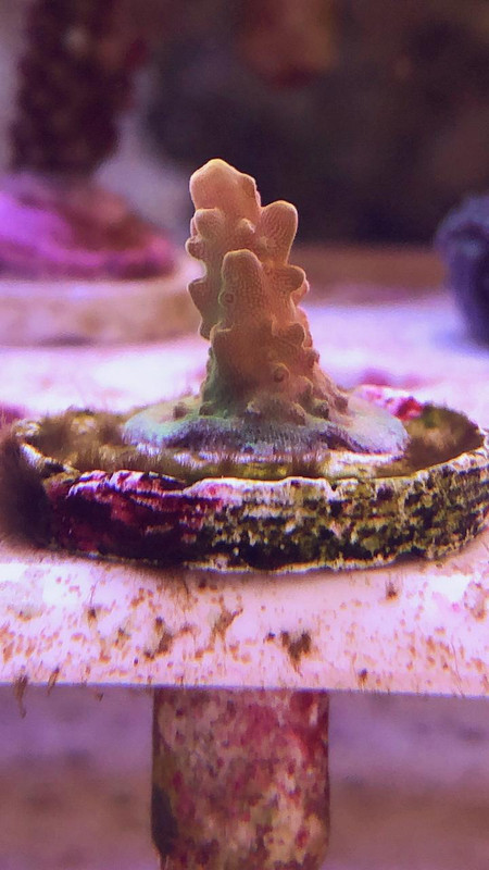 DC9A5C56-D42F-4818-86FE-F26FDB8E8E6D