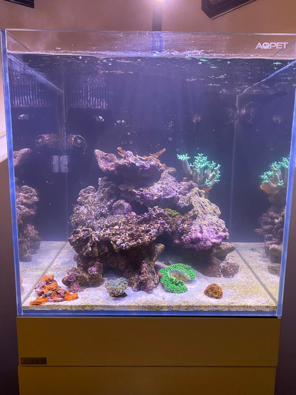 264925526_4850709694993308_7836426073501693459_n