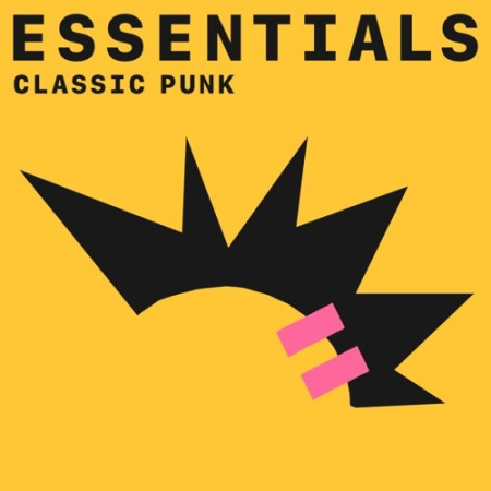 2cd9d5a3 5949 4bc8 a1c0 4ce90d8cd83c - VA - Classic Punk Essentials (2021)