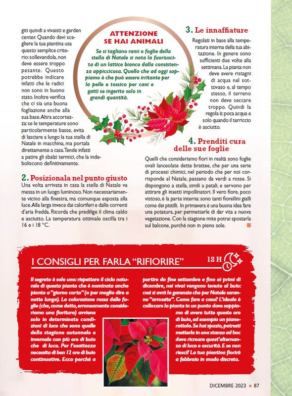 Sal Nat Dic 2023 (10)