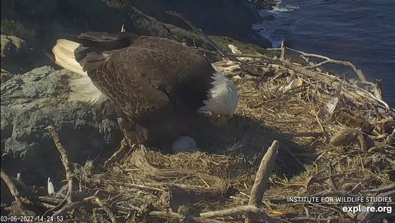 589A88B1-01D9-4D00-8B74-F465129CD667