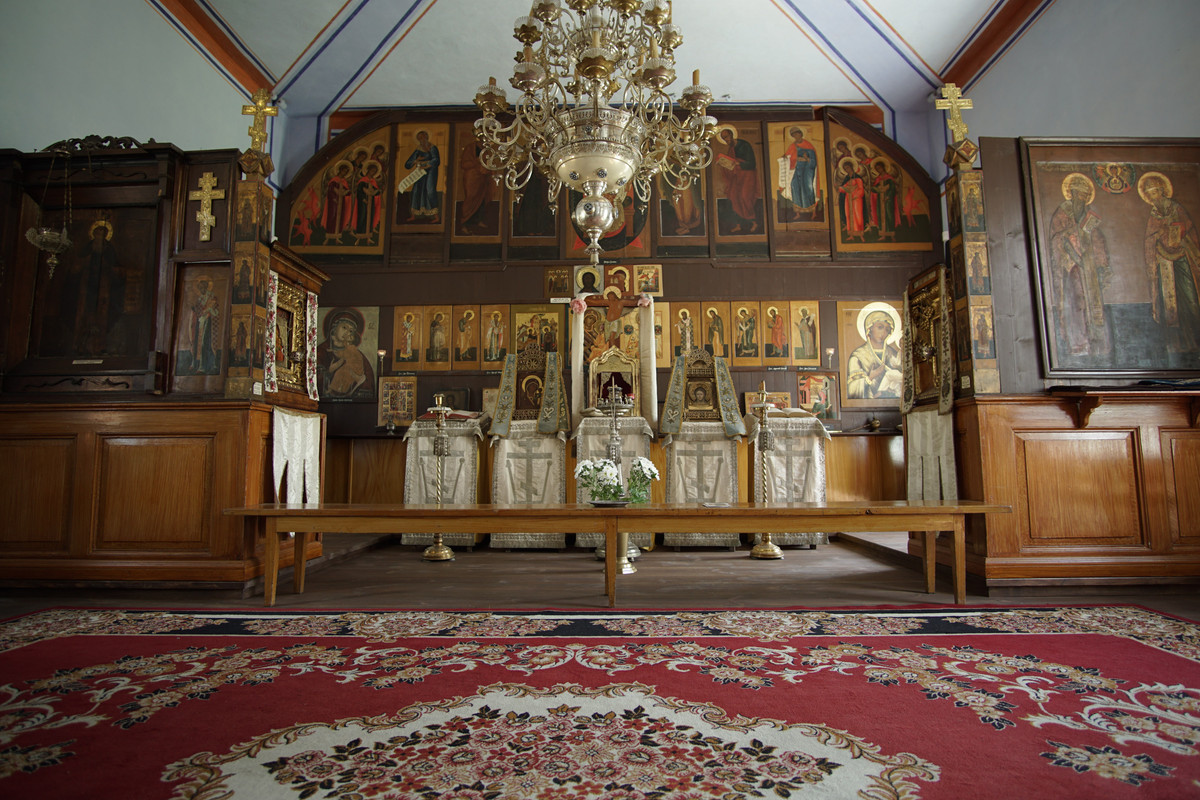 04 - DSC00558 (zbychowiec)