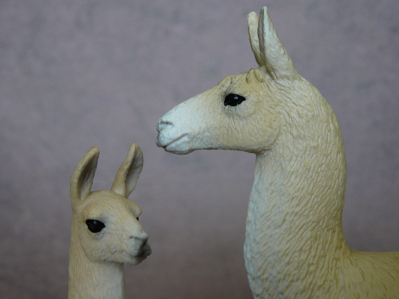 Mojö 2019 Llama and Cria- a walkaround by A.R.Garcia P1090615ed
