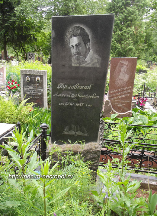 gorlovskiy-as1
