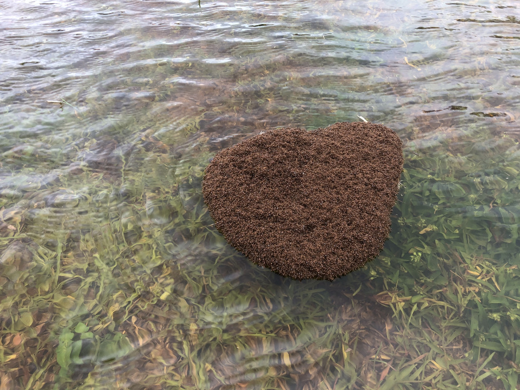 02601B57-748D-4702-A31C-0BC4D3B7B32E