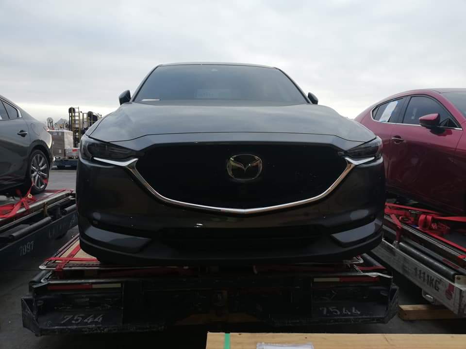 WhatsApp Image 2019-02-22 at 11.24.25(2)